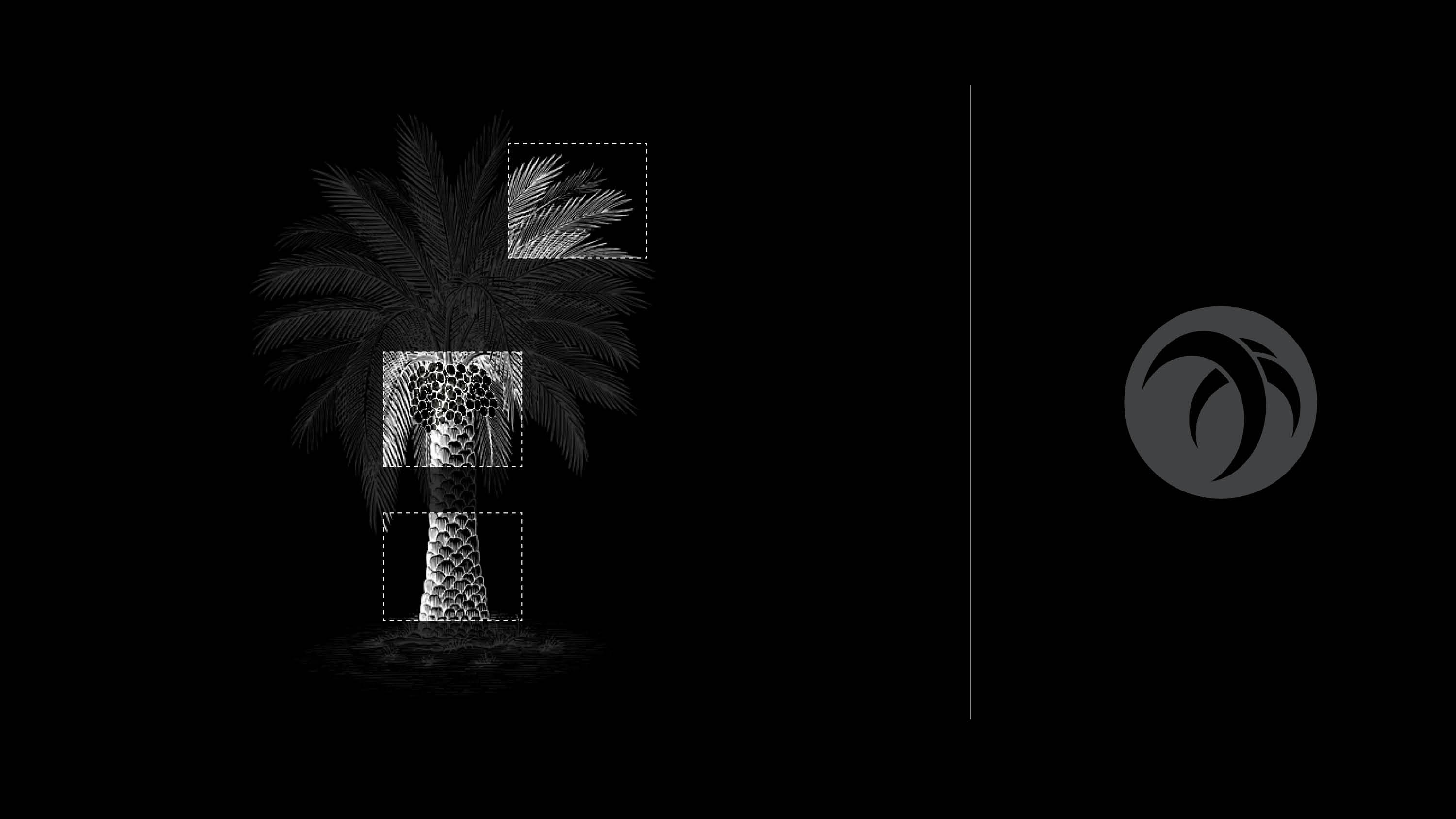 Graphic depicting a hexagonal cropped photo of an interior room design with grid lines along its borders.