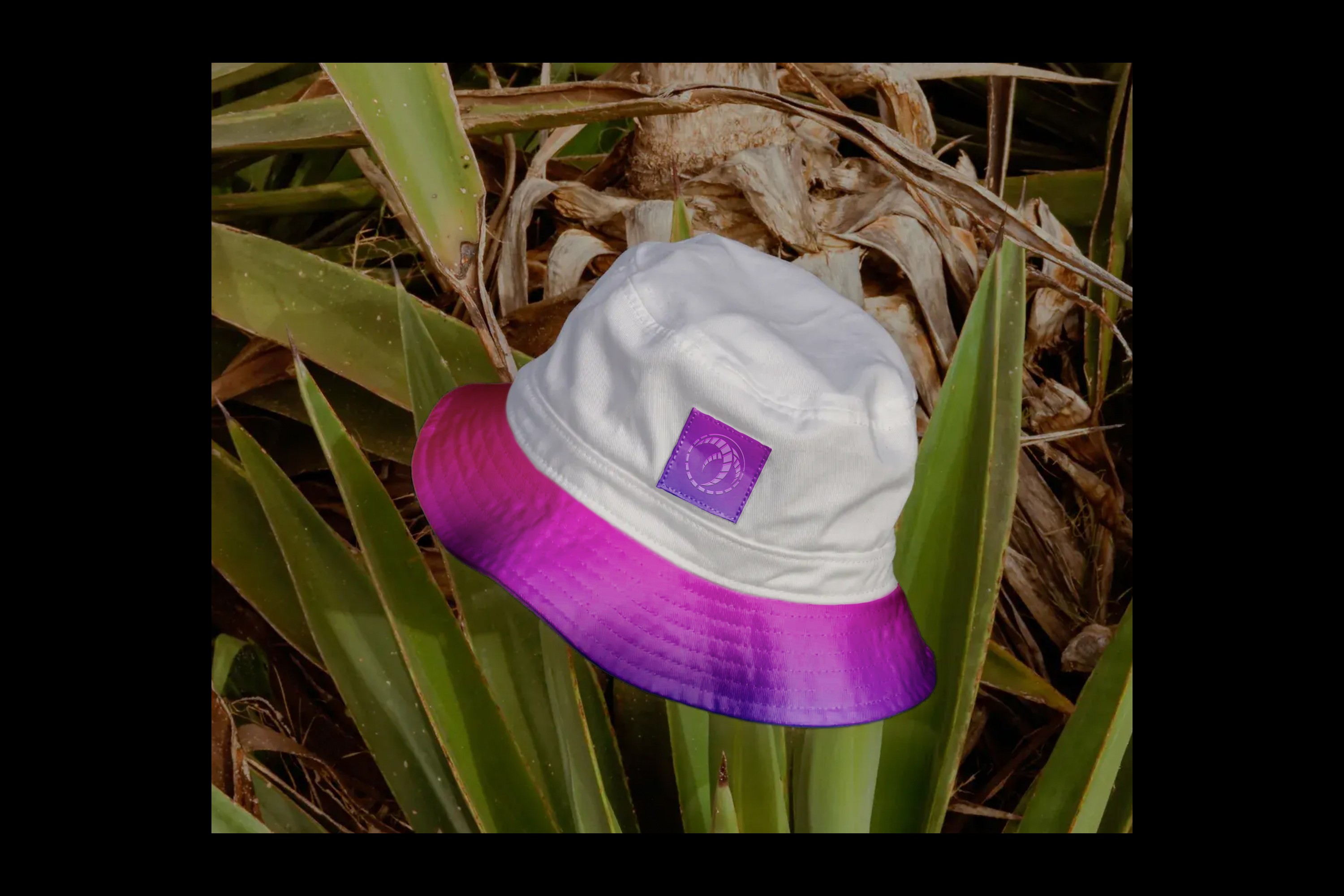 Graphic depicting a color palette of Stone Brown, Dark Navy, Beige, and Cream White along with corresponding hex color codes.